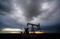 Новую залежь нефти открыли в Гомельской области