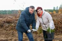 В эти выходные продолжилась акция Дай лесу новае жыцце!