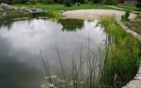 Беззащитный у воды: детская жизнь, оборвавшаяся в садовом водоеме