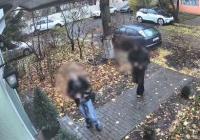 Бойцы невидимого фронта попали в РОВД после видео девушки из салона красоты Бойцы невидимого фронта попали в РОВД после видео девушки из салона красоты