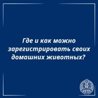 Где и как можно зарегистрировать своих домашних животных?