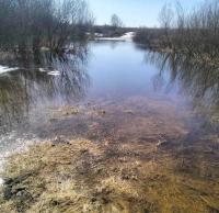 На Гомельщине подтопило грунтовые дороги в Петриковском и Гомельском районах