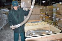 Нелегальный путь из Якутии в Европу: задержана тонна бивней мамонта