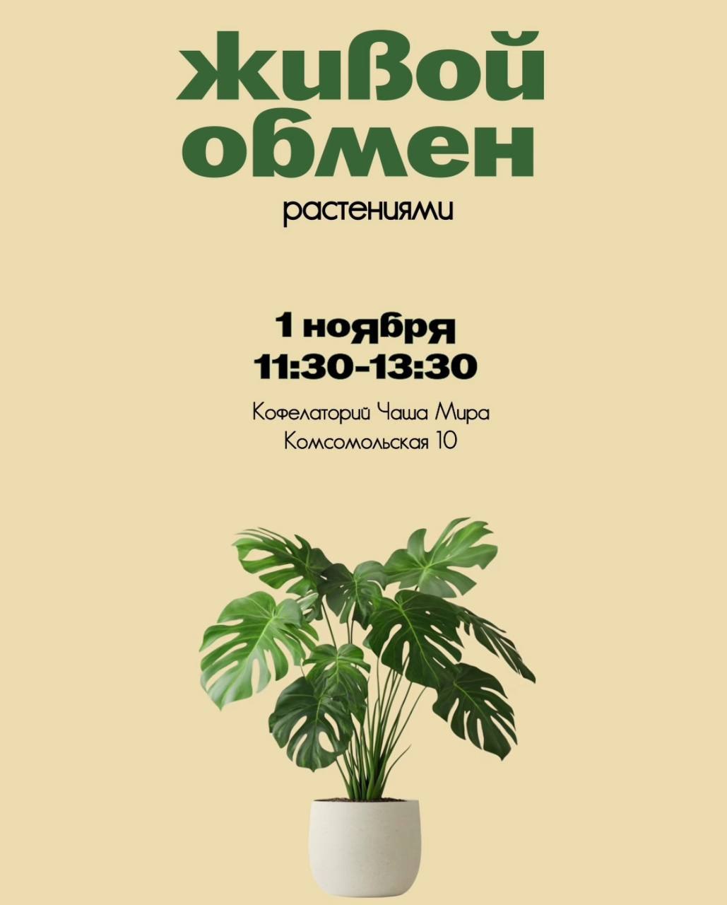 Обмен растениями в Гомеле Обмен растениями в Гомеле
