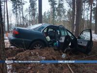 Под Речицей легковушка влетела в дерево Под Речицей легковушка влетела в дерево