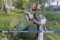 Под Жлобином 14 июля легковушка врезалась в дерево - водитель погиб