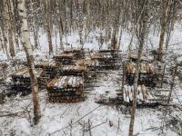 В Буда-Кошелевском районе нашли 569 артиллерийских снарядов времен ВОВ