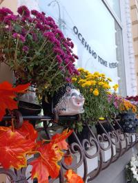 В начале ноября 2025 нас ждет еще одно «Бабе лето» В начале ноября 2025 нас ждет еще одно «Бабе лето»