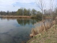 В озере по проспекту Космонавтов утонул мужчина