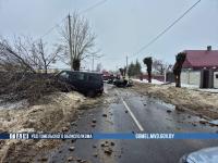 В Речице в результате столкновения травмирован водитель