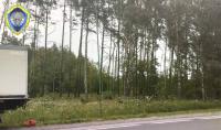 В Речицком районе от удара током погибли двое мужчин
