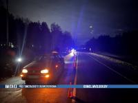 В Светлогорском районе сбили пьяного мужчину без фликера