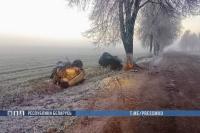 В Ветковском районе легковушку разорвало о дерево. Двое погибших