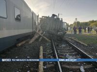 В Жлобинском районе произошел наезд поездом на лесовоз В Жлобинском районе произошел наезд поездом на лесовоз