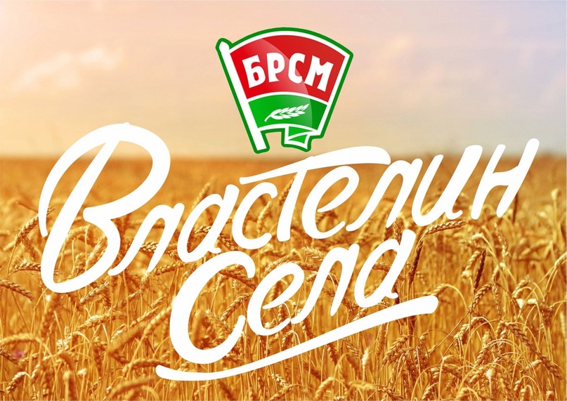 Властелин села 2025, Гомельская область